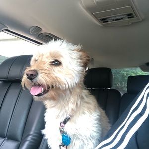 Meet your Posher, Keith